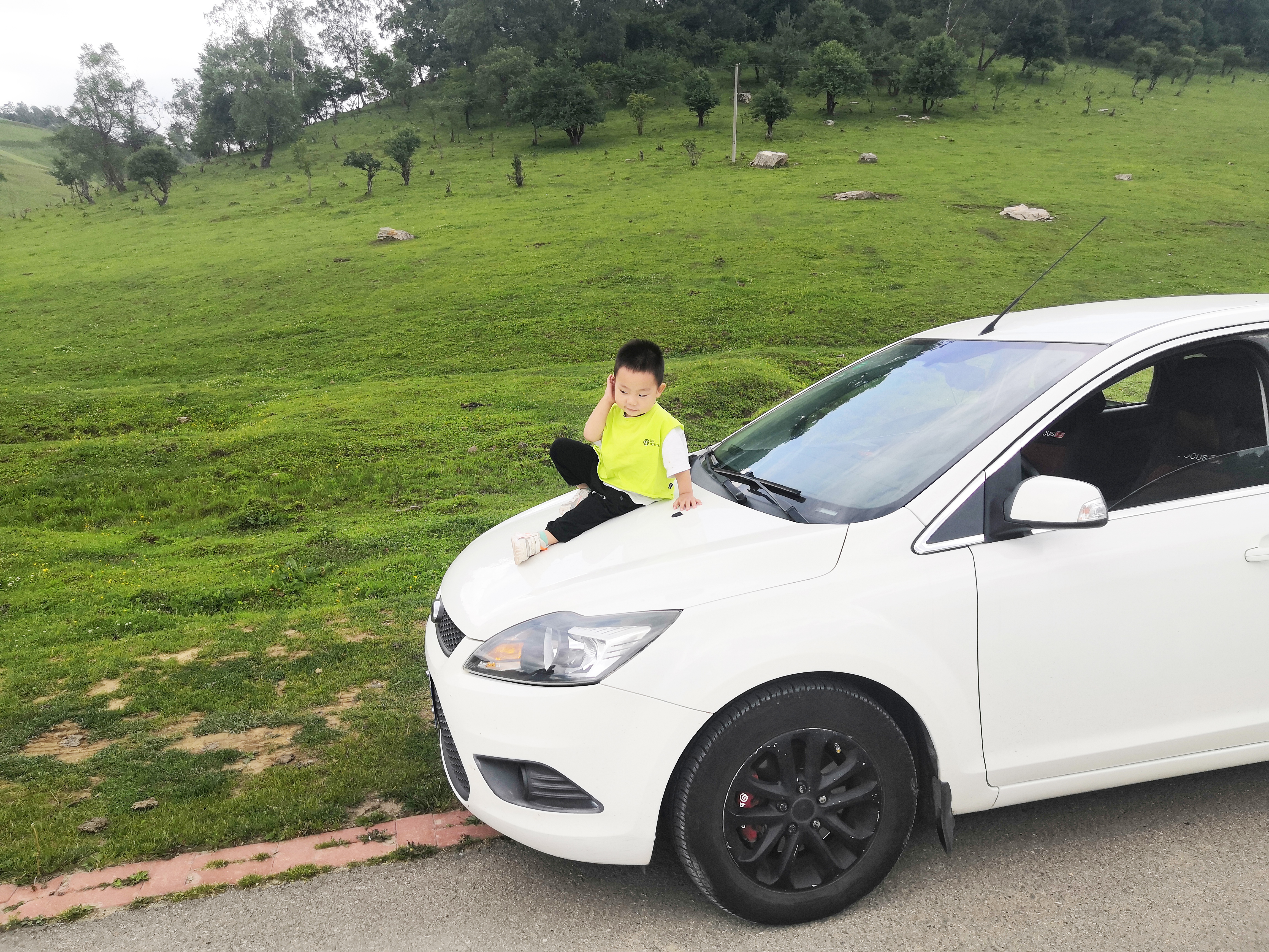 关山草原旅游景区一日游,关山草原七日游