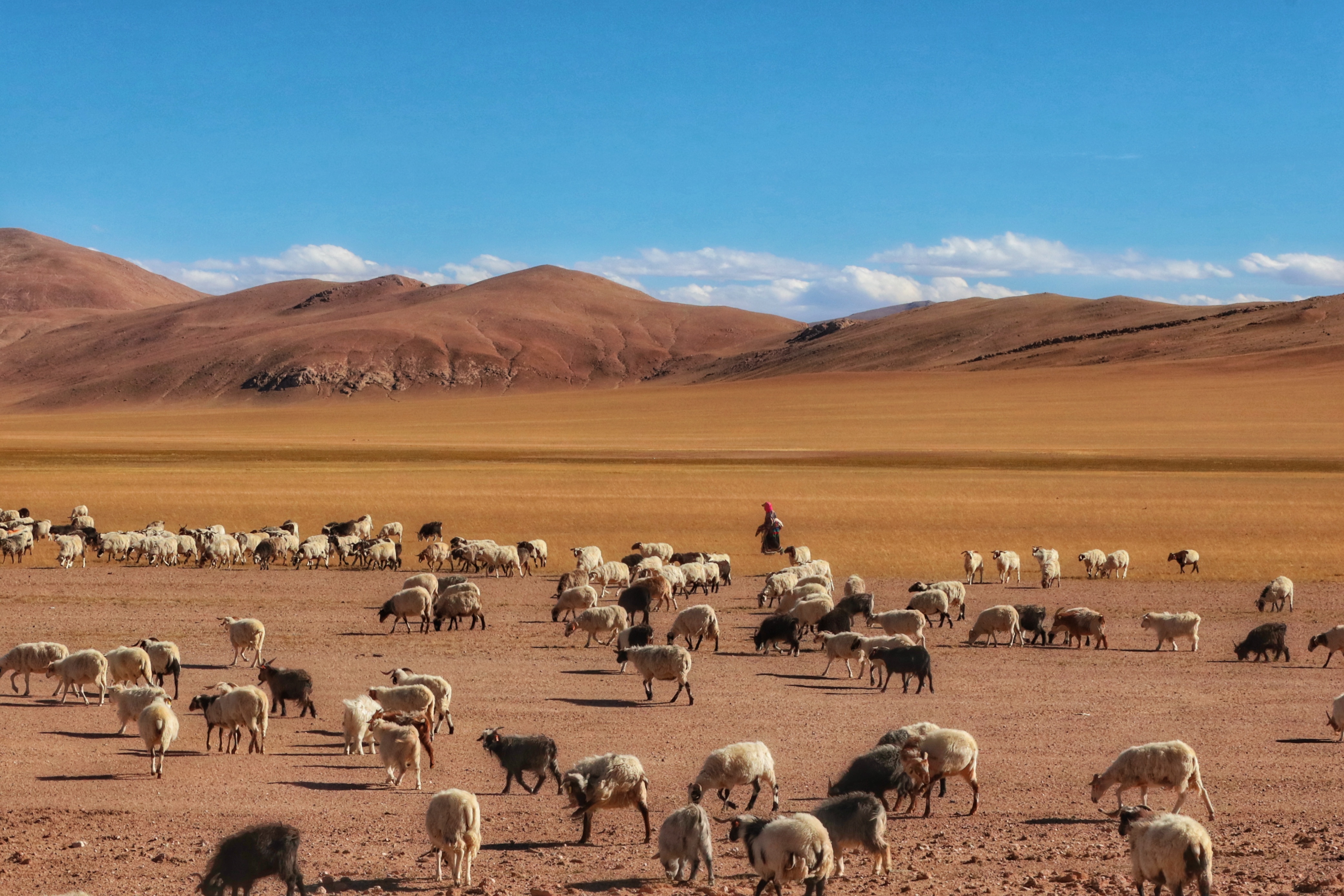 未来死刑最残酷的刑罚,死刑这个刑罚是什么时候发明的