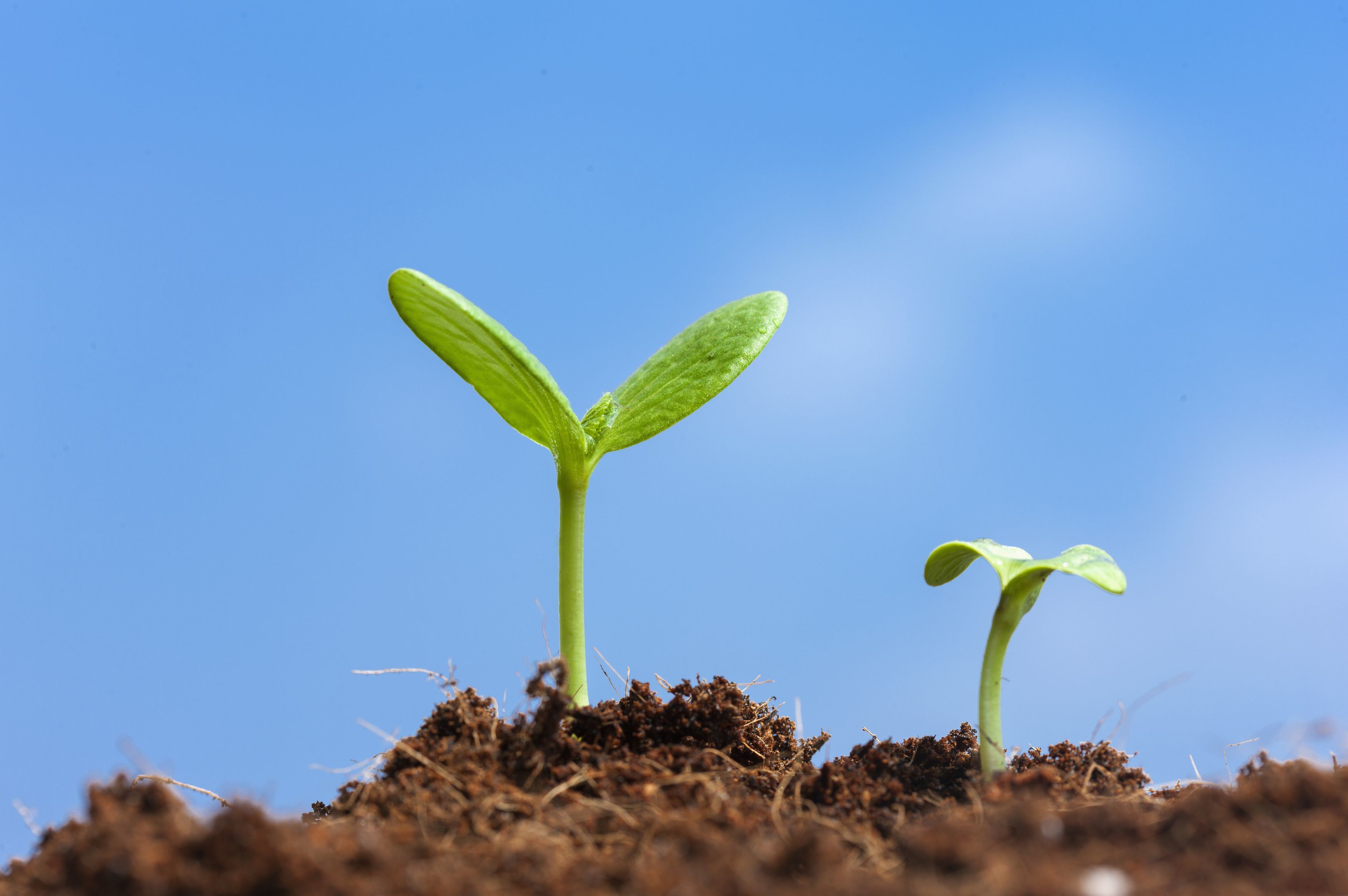 警惕网络,警惕网络渗透危害