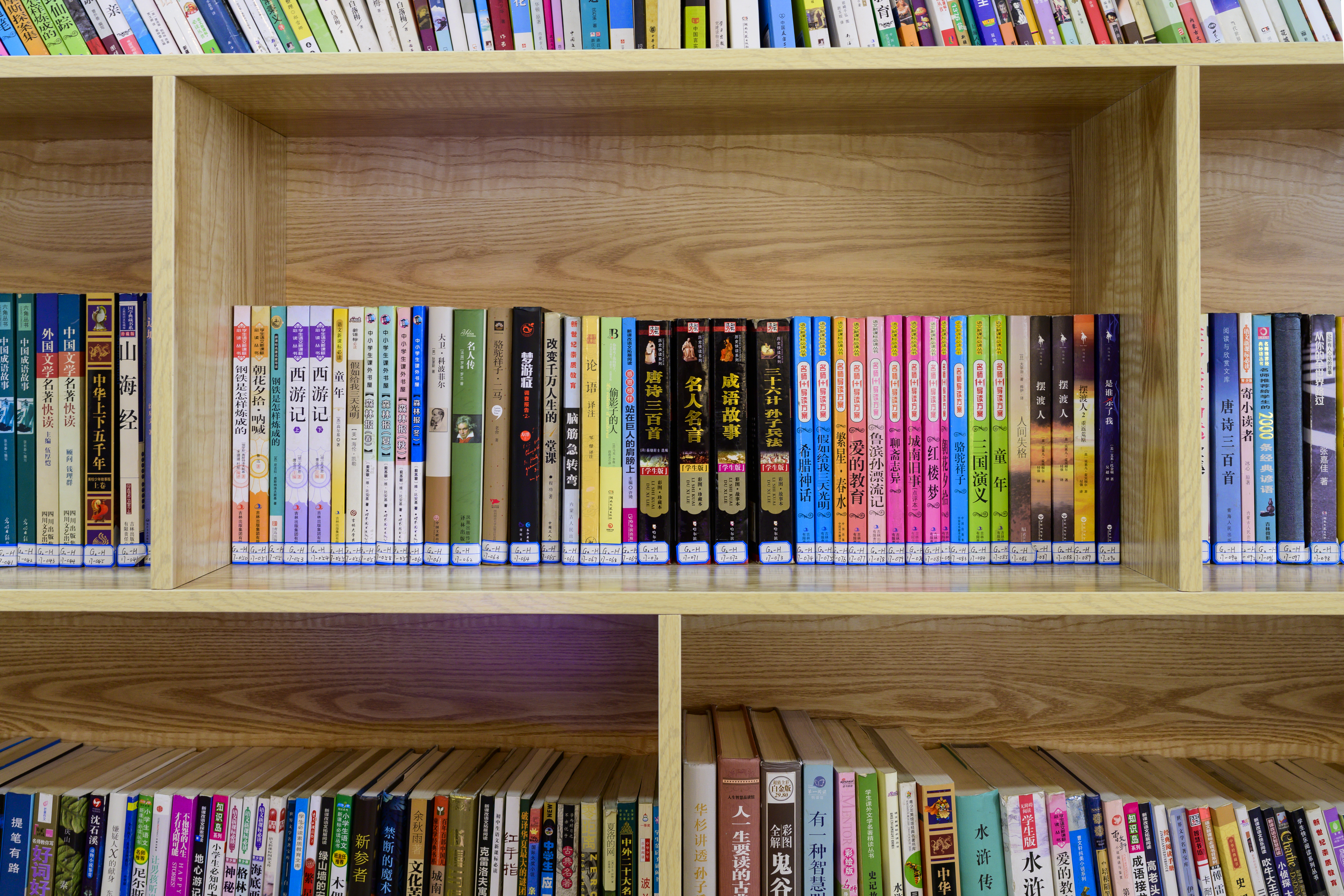 正版小说我第一次离开家,第一次穿越到我的世界的小说