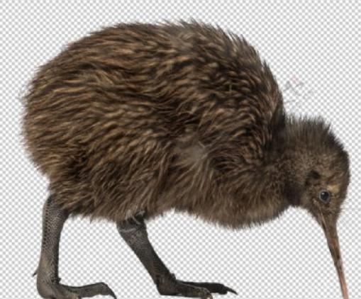 几何学有多趣味,几何学在数学的地位