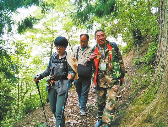 广西护林员要做什么,广西招募护林员