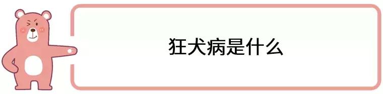 被狗舔了舌头会得狂犬病吗,狗的舌头有狂犬病吗