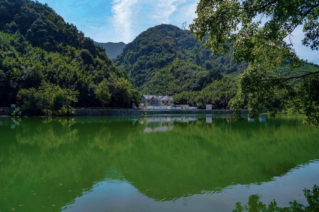 去稻田、赏竹林、上水库，带你深挖“竹”深不知处的中泰