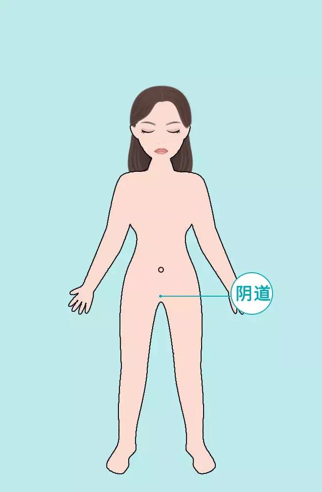 身体这6个部位太干净反而病越多,身体这6个部位太干净反而容易生病