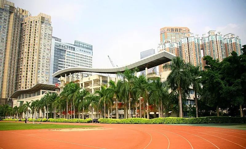 娣卞湷绂忕敯涓2020,绂忕敯涓2020