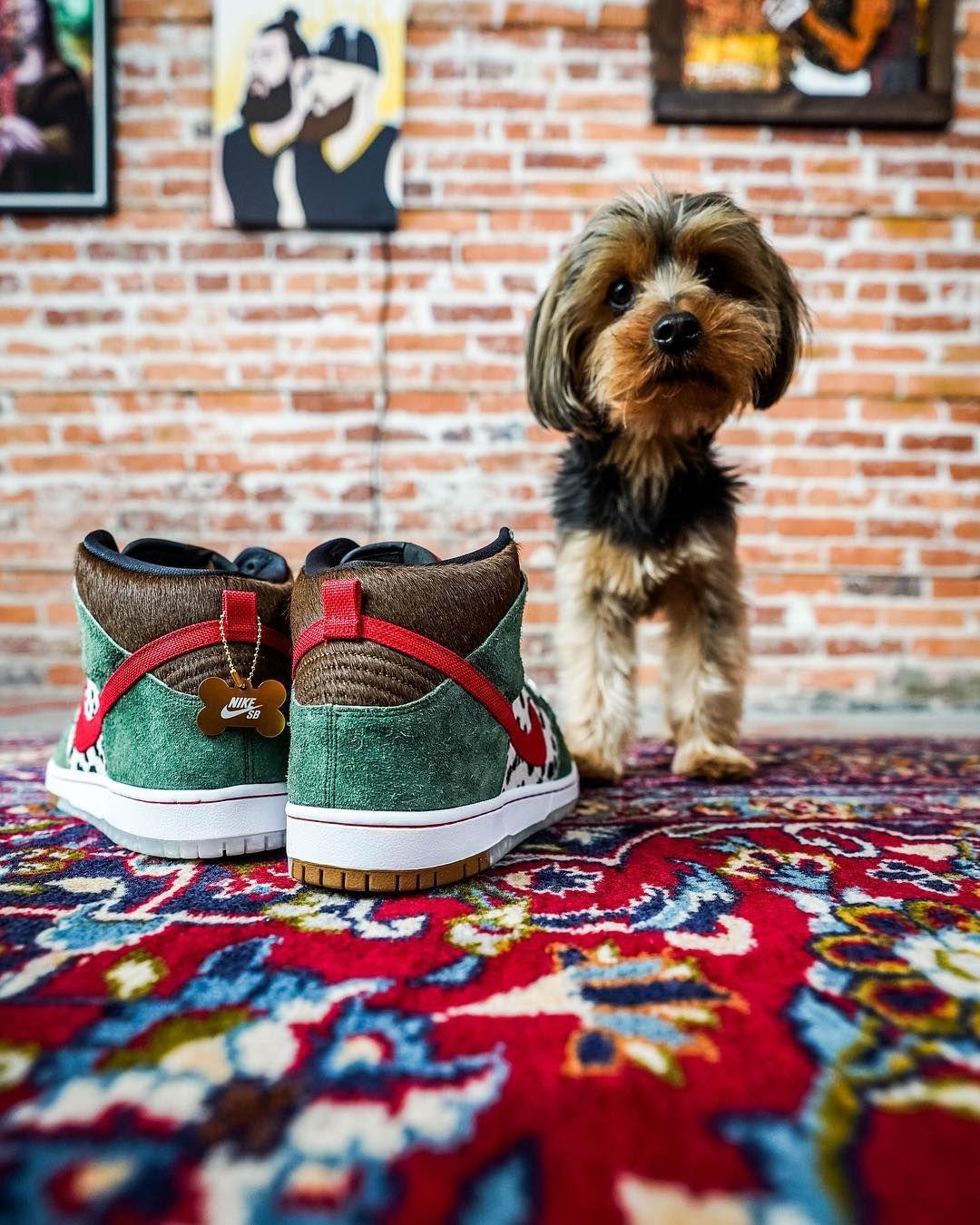 nikedunk经典试穿特写,nike经典dunk高帮