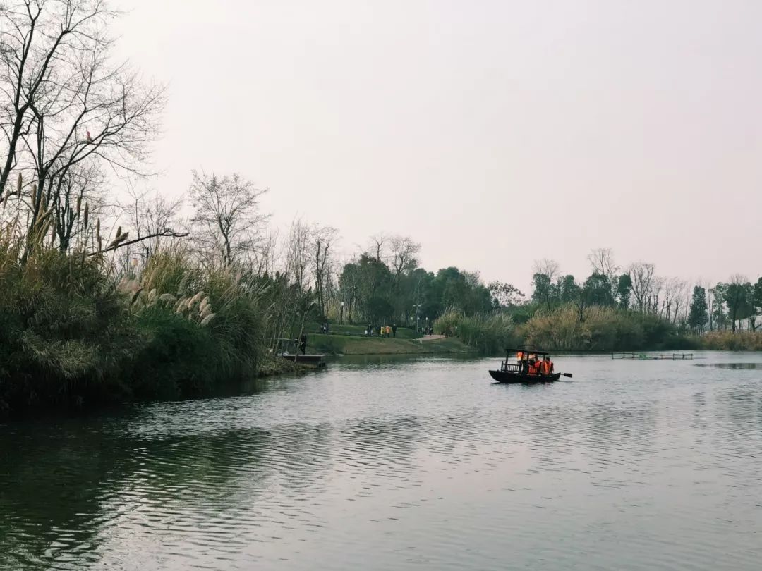 成都新增2个公园,成都到处都是公园城市