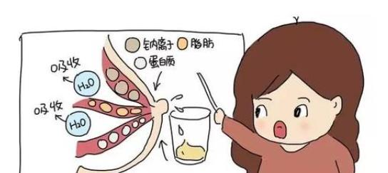 困扰多年的生理知识，答案来了