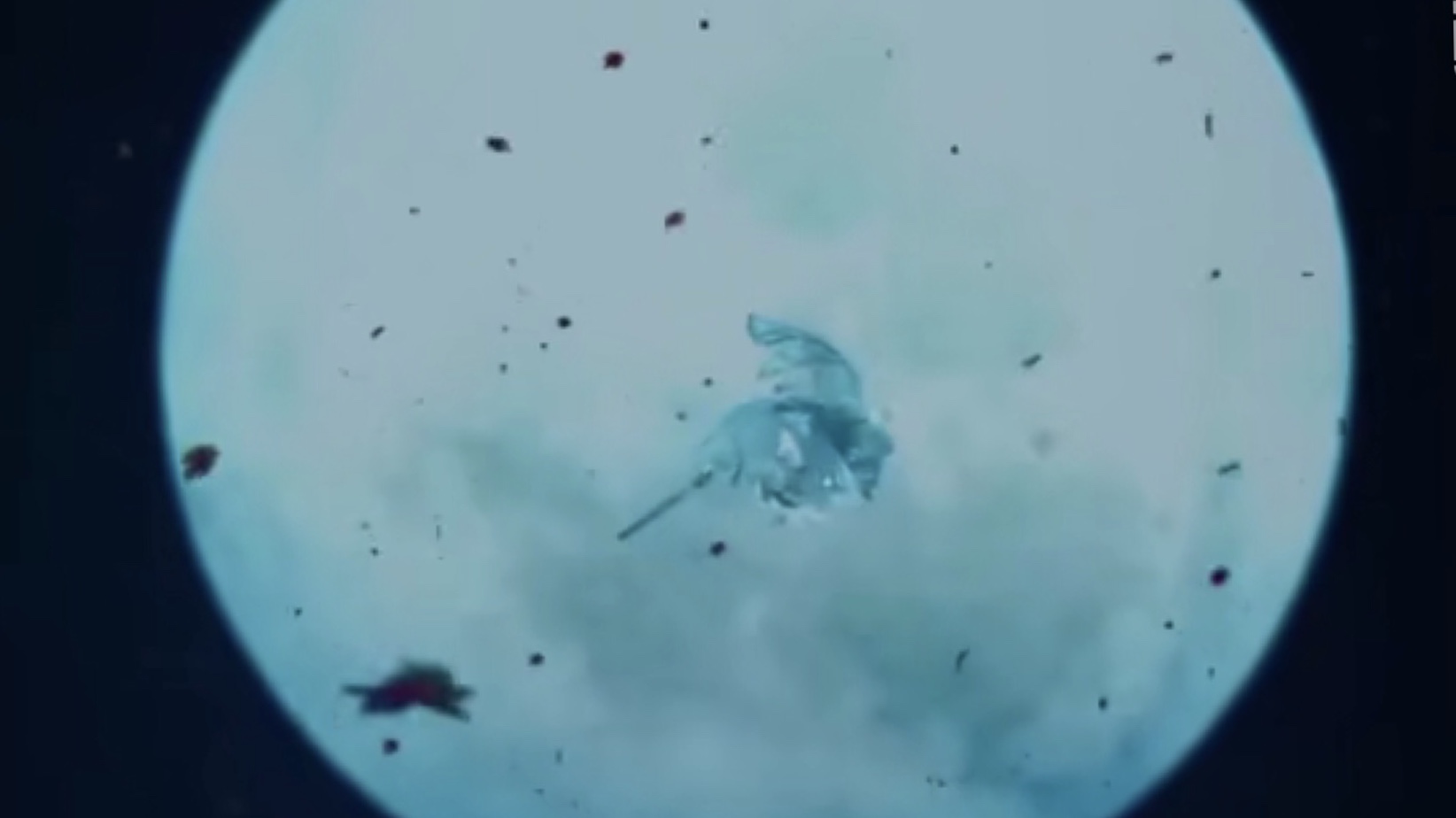 中秋节后羿与嫦娥简短故事,中秋节后羿和嫦娥故事图片