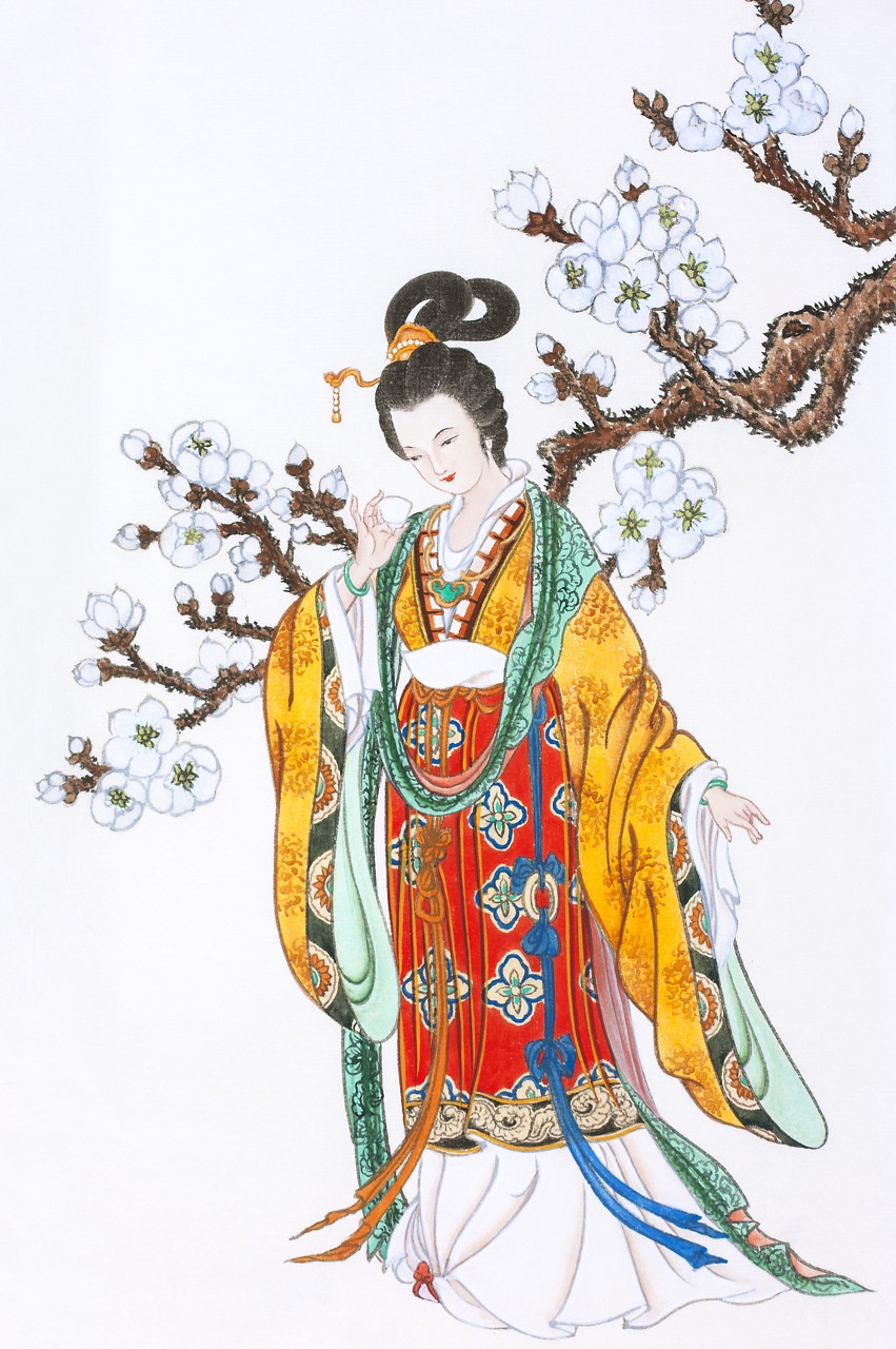 杨贵妃与历史,杨贵妃历史上的爱情故事