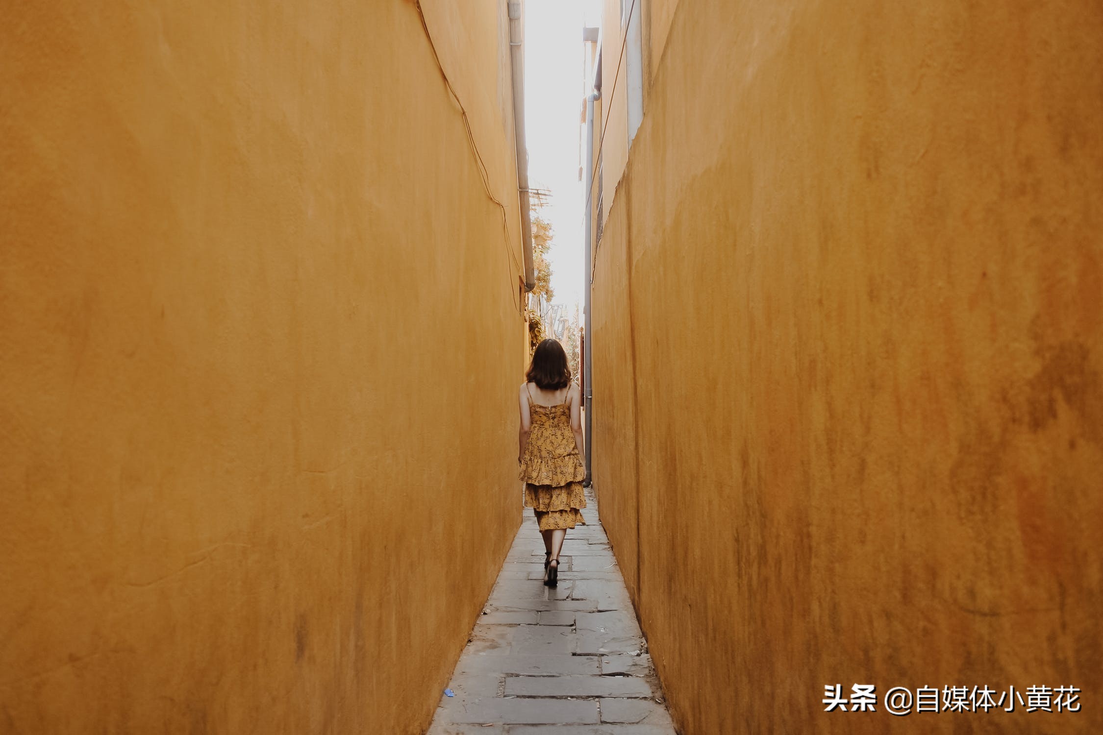 哪几个自媒体平台挣钱快又简单,自媒体平台哪个平台收益最好