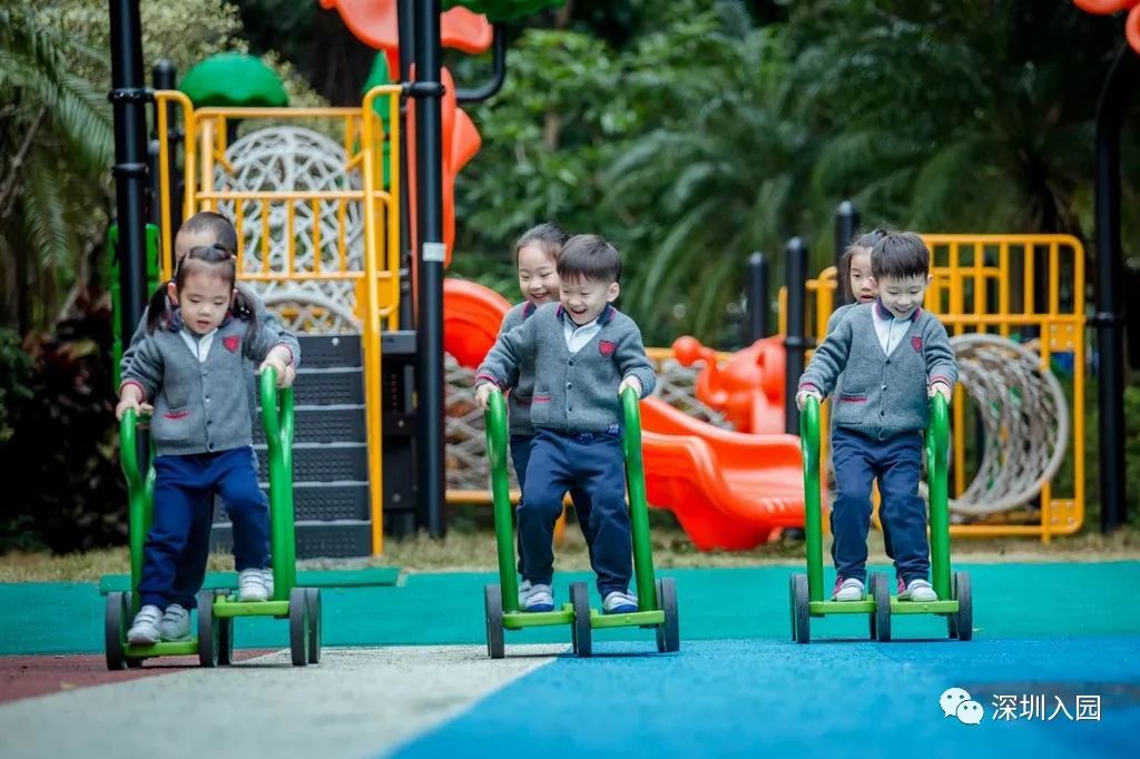 深圳双语幼儿园哪所比较好,深圳公立幼儿园学位充足
