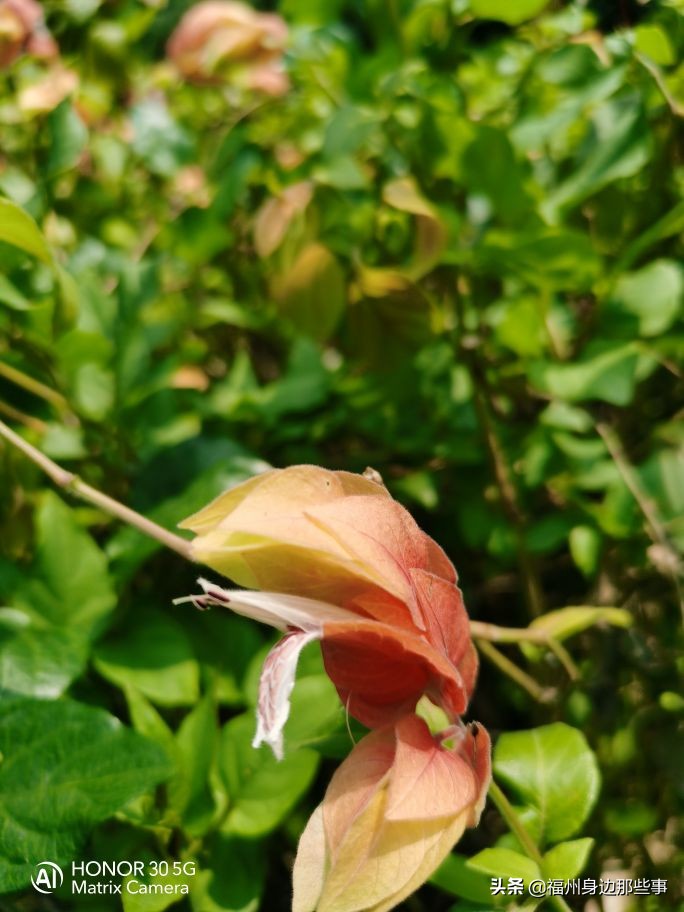 福州露营休闲放松好去处,福州温泉景区