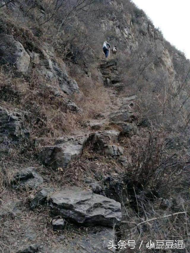 涉县最美小村庄,我的家乡山沟沟里