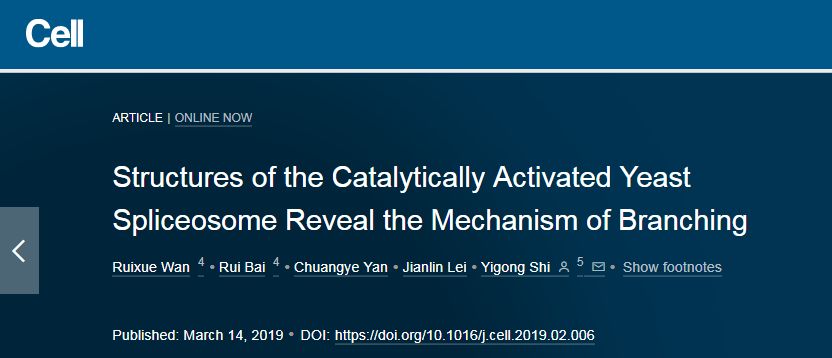 中国冷冻电镜技术进展,冷冻电镜最新研究