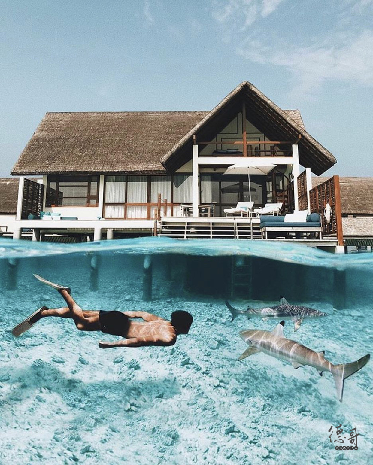 去马尔代夫为什么报团便宜,去马尔代夫的九大理由