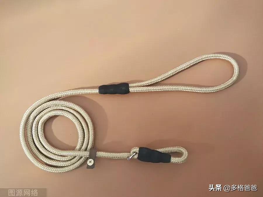 怎么纠正狗狗爆冲咬人,狗狗爆冲一定要用p链吗