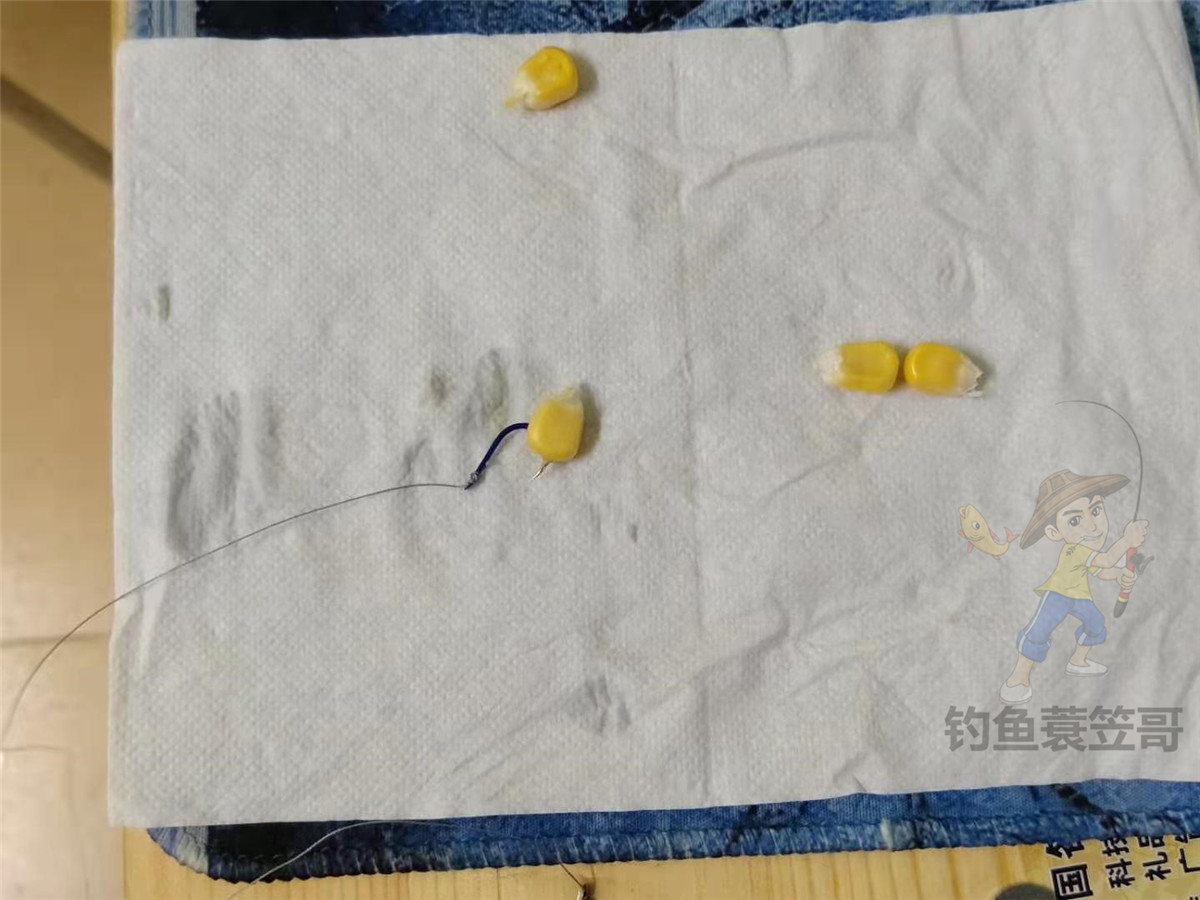 老坛玉米怎么挂钩容易中鱼,玉米钓鱼什么挂法最实用