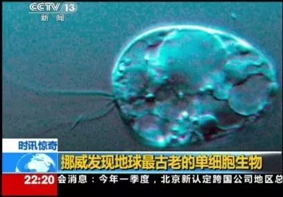 装饰是一门艺术,装饰生活美学