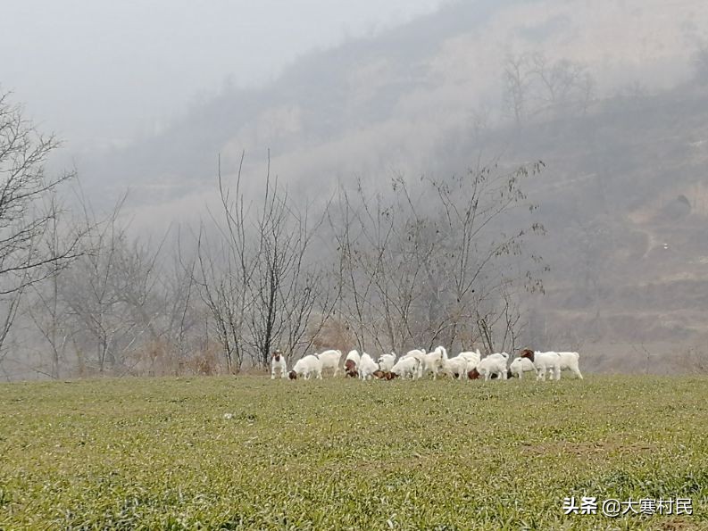 想象春天,想象中的春天