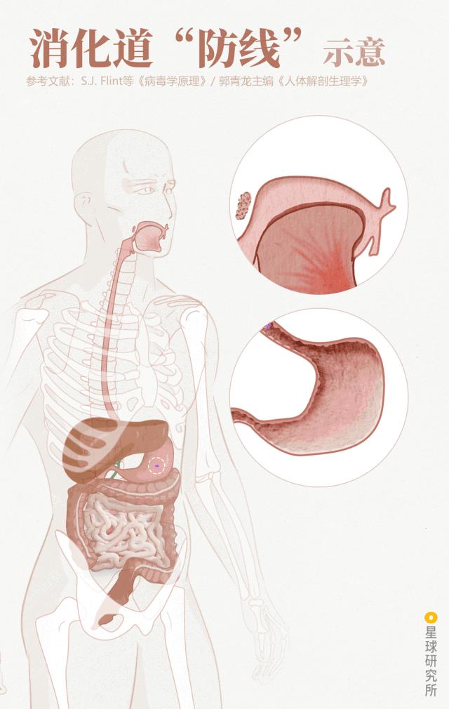医生和病毒作战,我们如何对付病毒