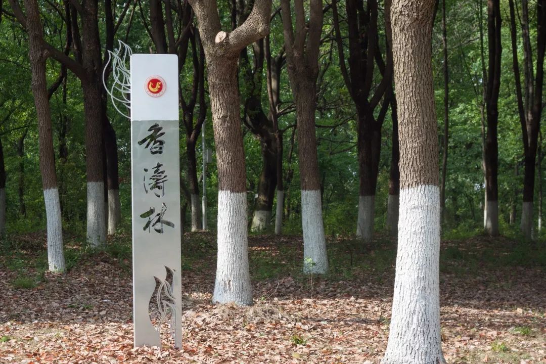 今天我以湖经为荣,明天湖经以我为傲