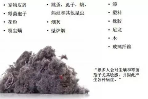 床垫除尘除螨虫多少钱,床垫螨虫怎么彻底消灭