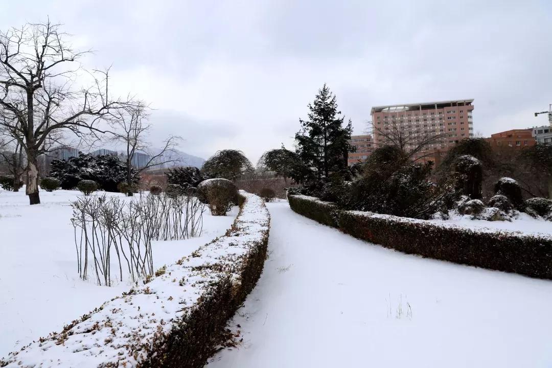 民办学校大连艺术学院全国排名,大连艺术学院辽宁排名