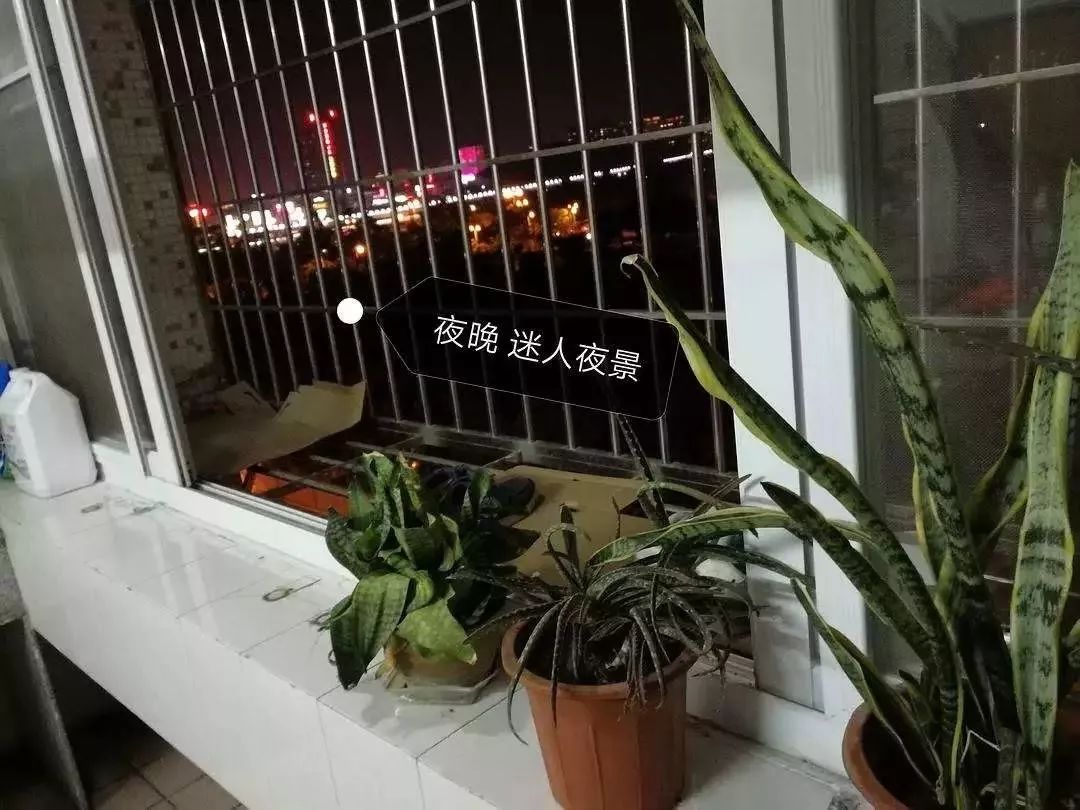 2024厦门租房行情,厦门曾厝埯附近哪里租房比较便宜