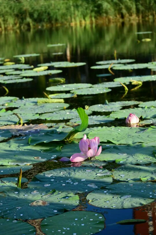 哈尔滨市内环境,哈尔滨一年四季的现状