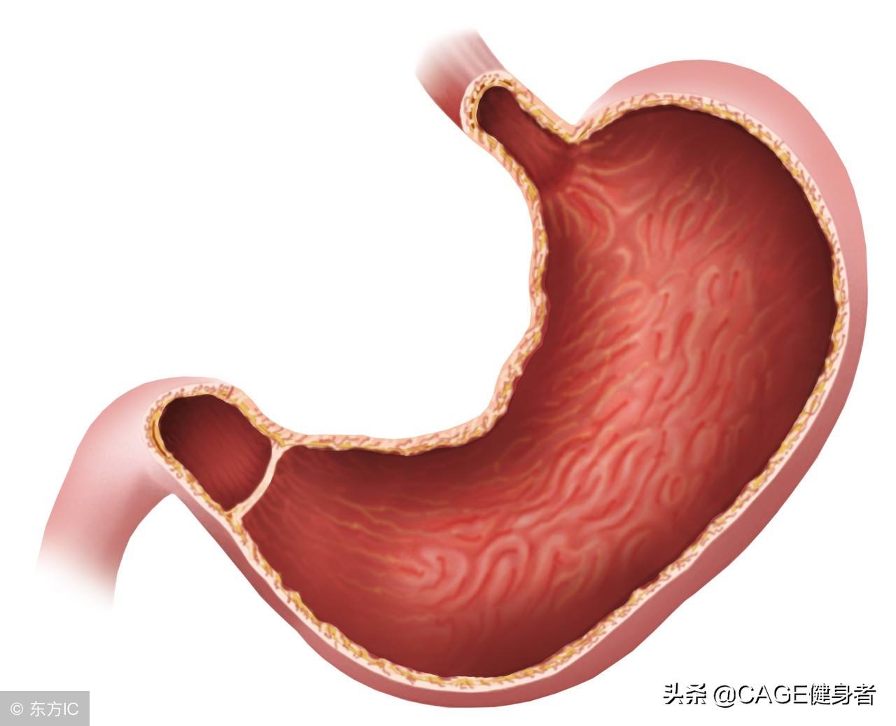 产后妈妈恢复身材的四个动作,产后妈妈的身体变化