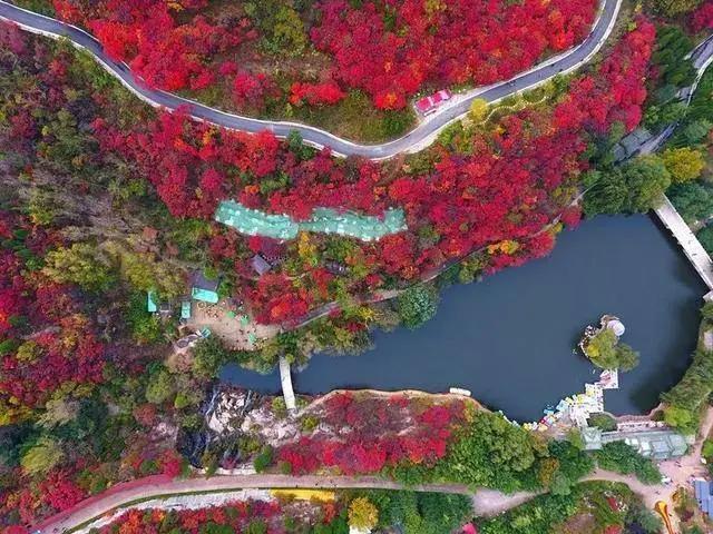 6月1日起山东免门票的景区名单,山东景区免门票政策有哪些