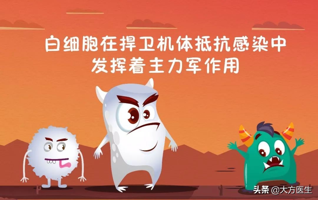 癌症病人白细胞补多了会怎么样,癌症病人白细胞少有哪些危害