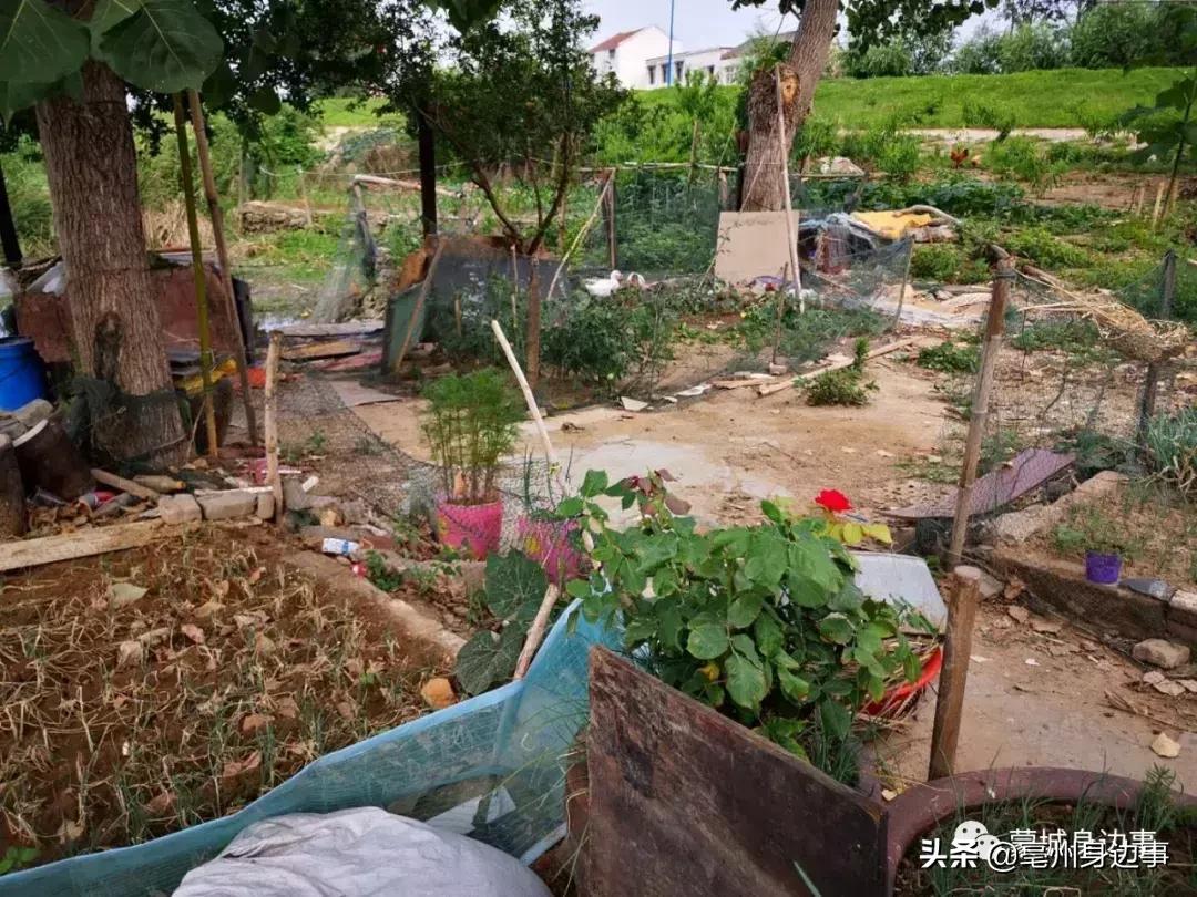 蒙城:一船一家一辈子!他们吃住都在船上