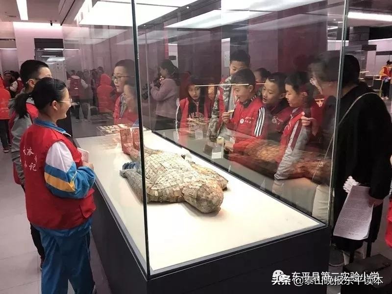 二年级小记者活动,小记者实践活动收获