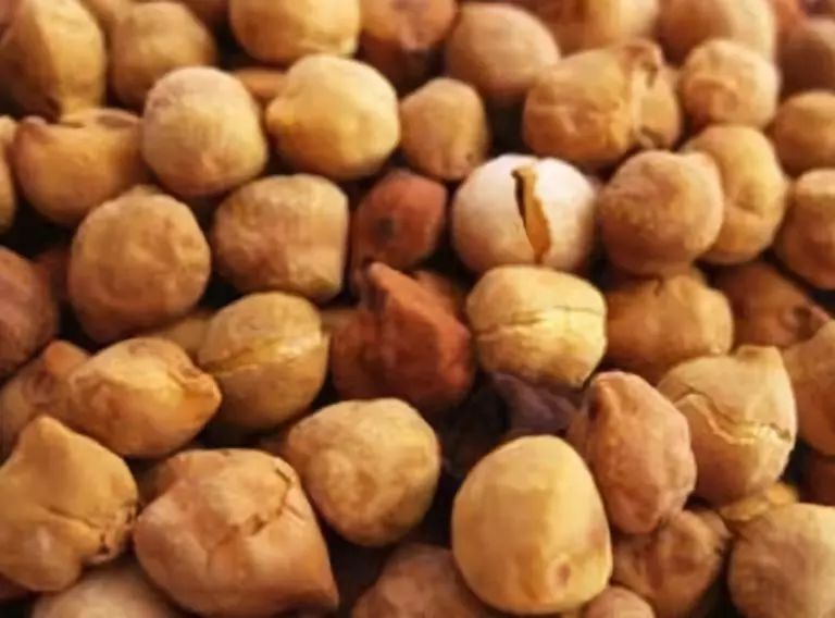 全新疆著名的特产,盘点十大新疆的特产