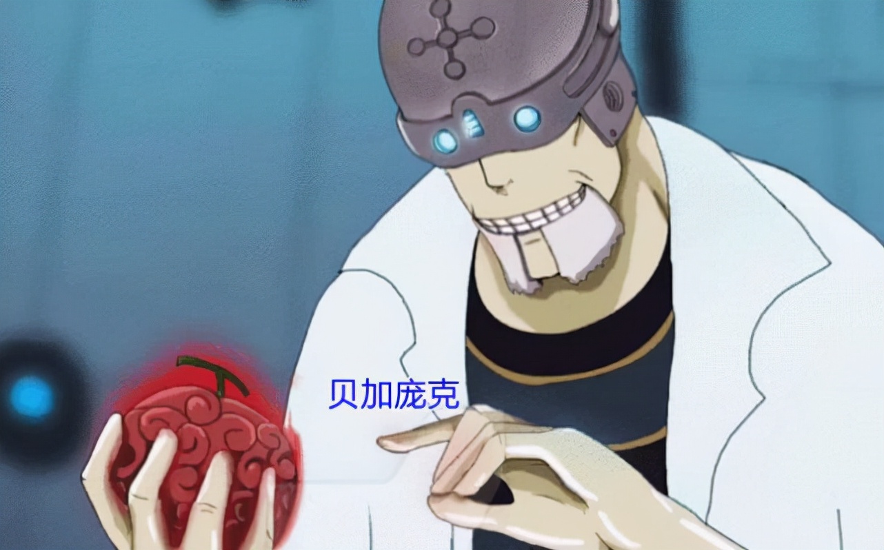 海贼王凯多手段,海贼王凯多失败后去了哪里