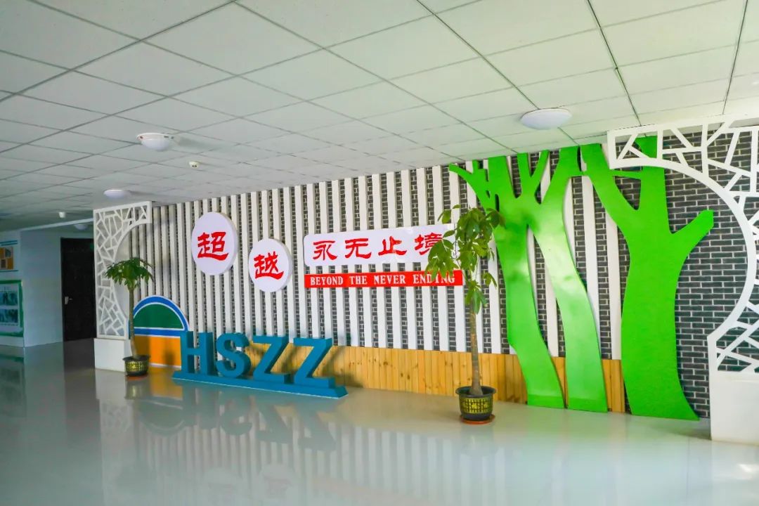 专家认为衡水二中的教育方式,衡水二中清河志臻中学