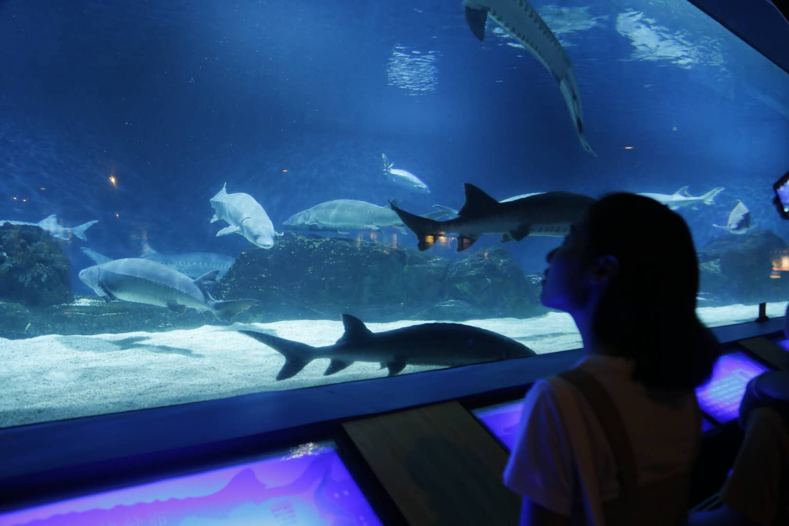 因疫情离开北京的年轻人：复工无期、失业在家、房租待交，每天像机器一样工作，终究败给现实