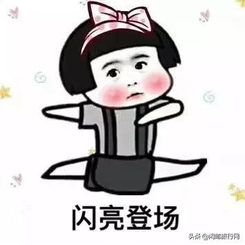 中国最新发布的邮轮消息,2019年国内邮轮时间表