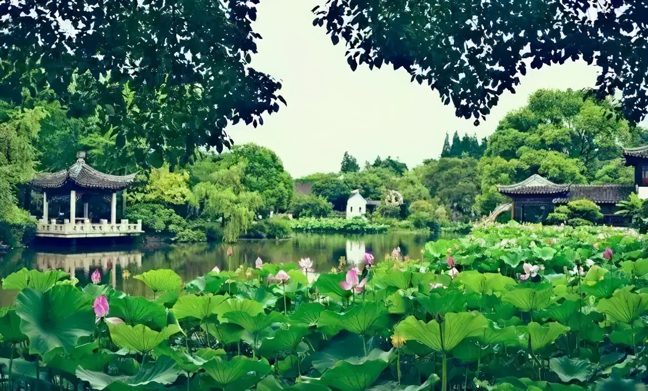 豪横必须要有实力吗,太仓未来发展潜力