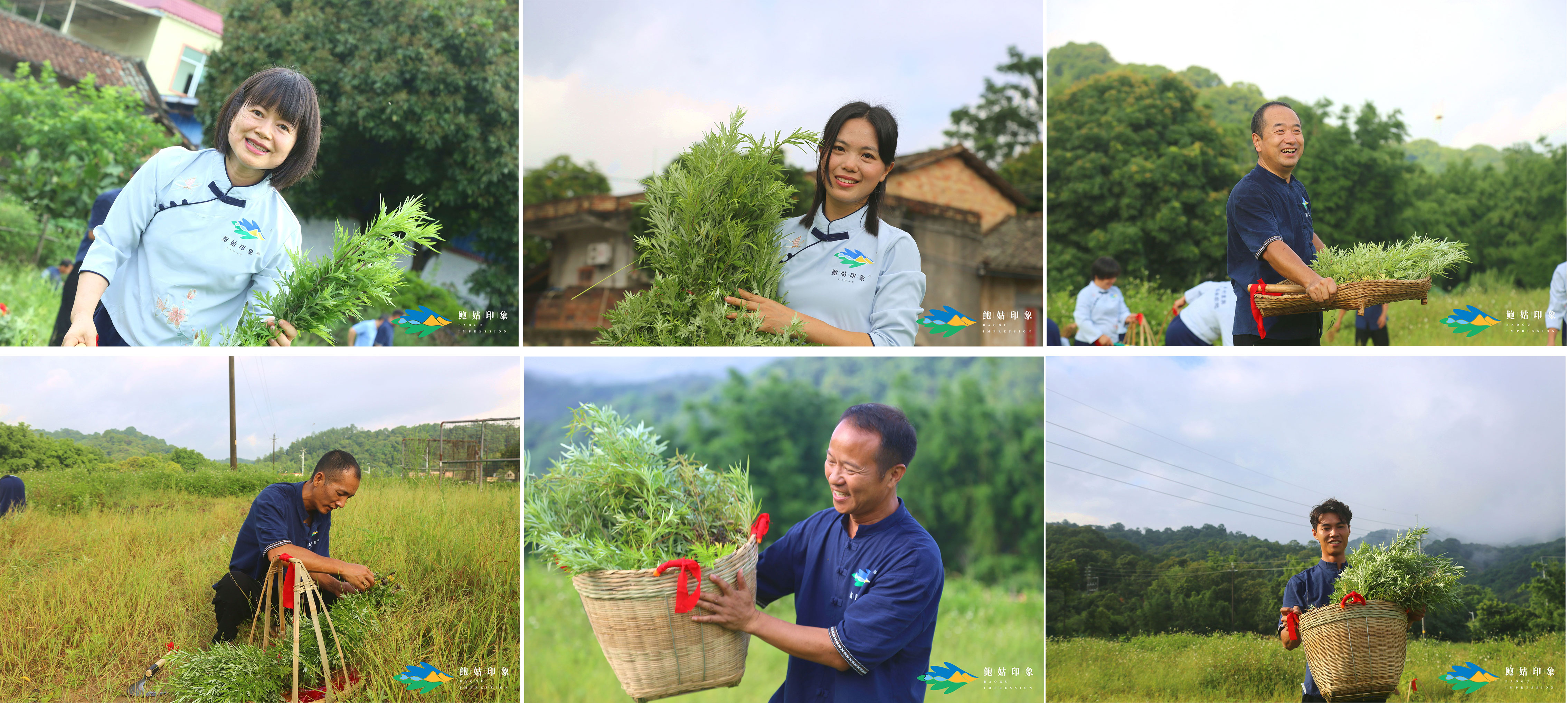 艾礼中国——鲍姑印象首届采艾文化节献礼中国