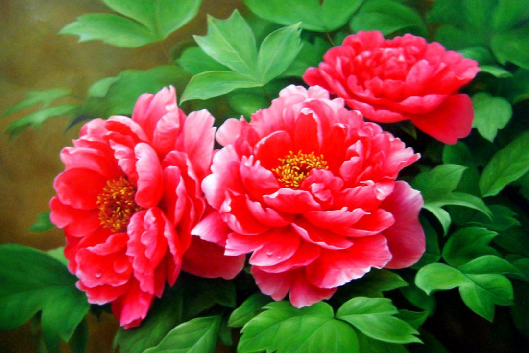 中考誓师誓词文案,中考誓师大会誓词教师寄语