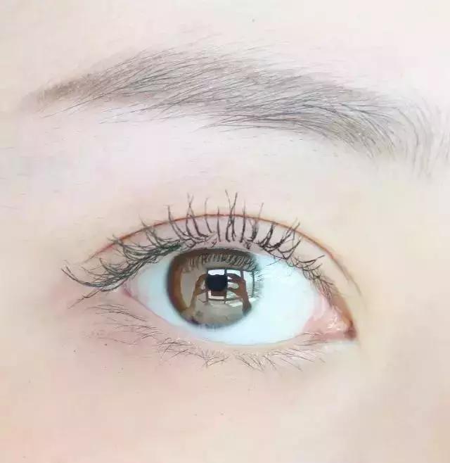 三分钟学会夹睫毛和刷睫毛,教大家一招正确的刷睫毛