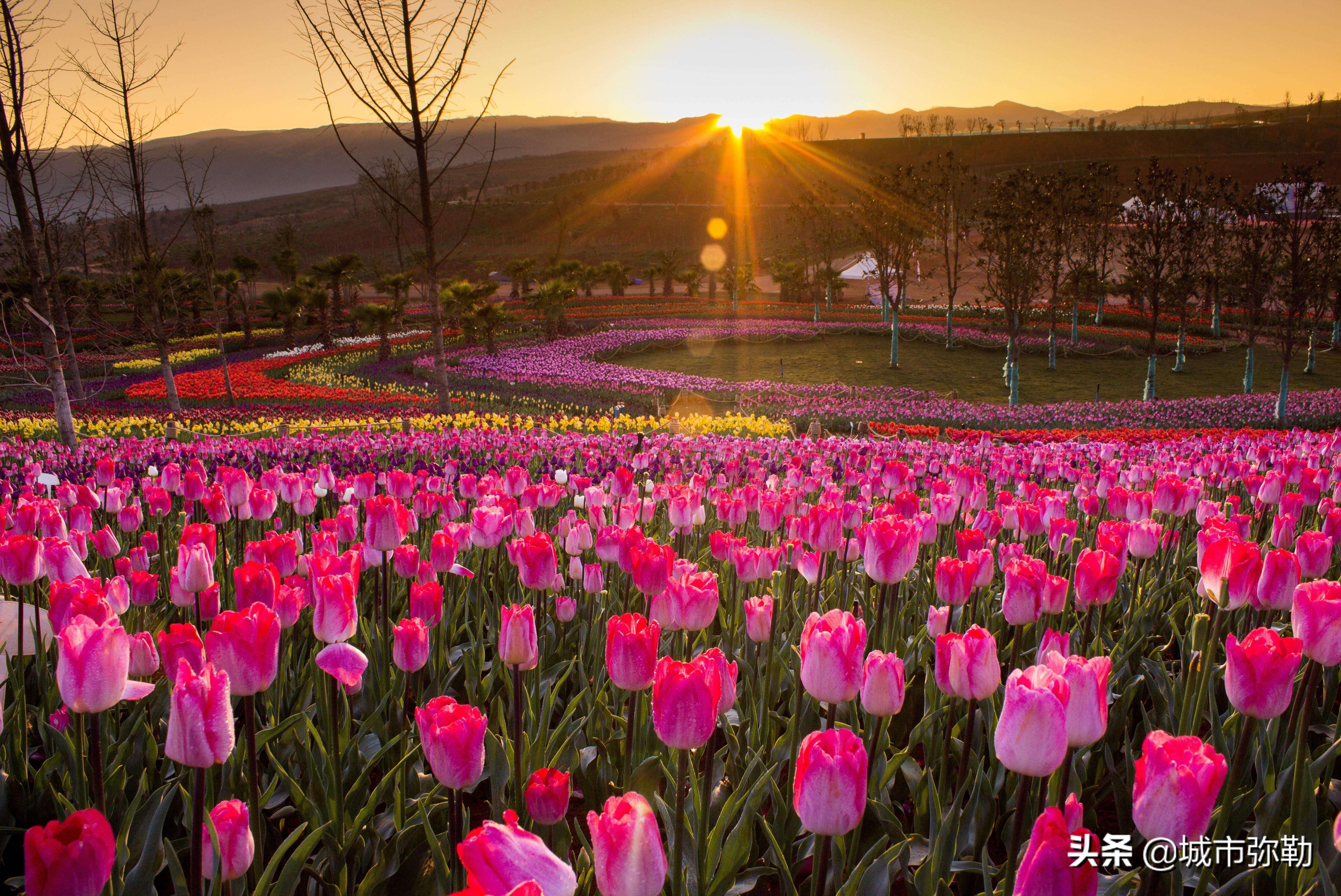 关于云南弥勒的诗词,弥勒诗词