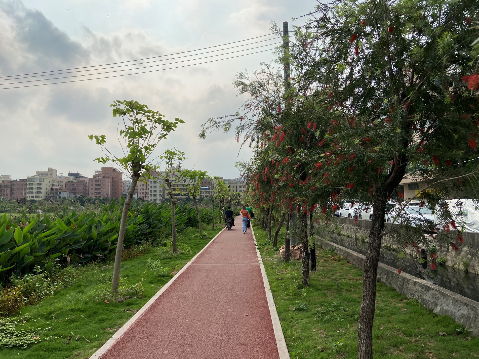 白云红星改造,白云区开展专项整治行动