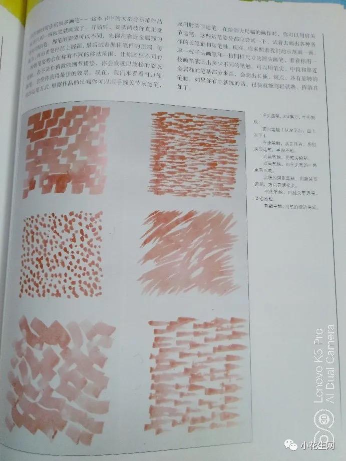 从零开始学绘画简单入门教程,从零开始学绘画必备的画