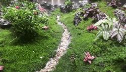 爆火广州溜娃圈的网红双展，宠粉价¥39.9买一送一！劲省二百多元