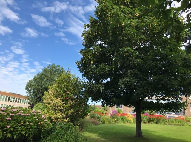 纽卡斯尔大学为什么这么好？